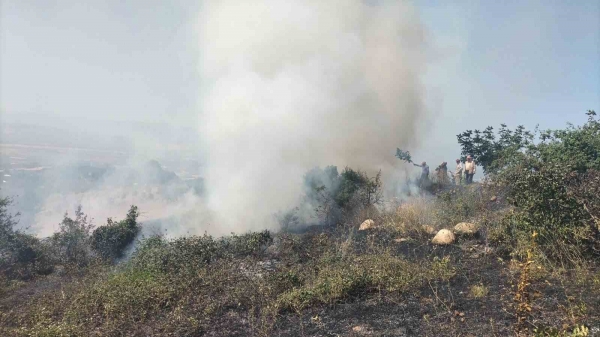 Bursa’da 1,5 hektar otluk alan yandı