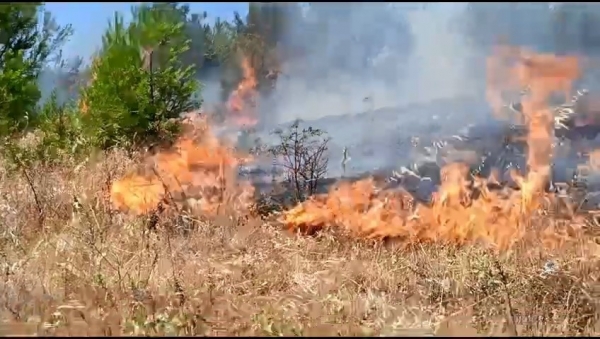 Anız yangını, ormana sıçramadan kontrol altına alındı